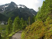 IMG_0507