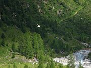 IMG_0516
