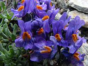 IMG_0646