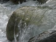 IMG_0824