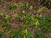 IMG_0869