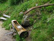 IMG_0880