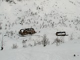 IMG_1949