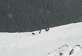 IMG_2063
