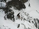 IMG_2087