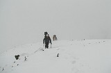 IMG_2152