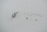IMG_2183