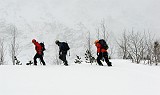 IMG_8791